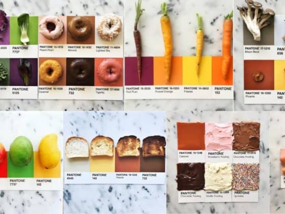 Le pantone de Lucia Litman