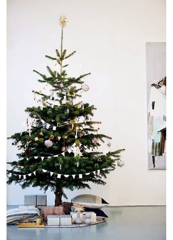 Les sapins sous les feux des projecteurs en 2016 ! www.soodeco.fr/