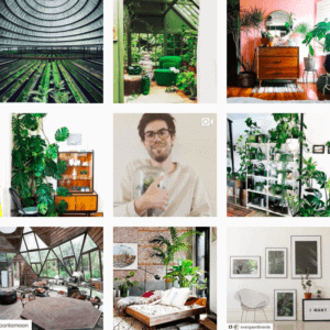 "Parce qu'un intérieur vert est un intérieur créatif" Pikaplant ! www.soodeco.fr/