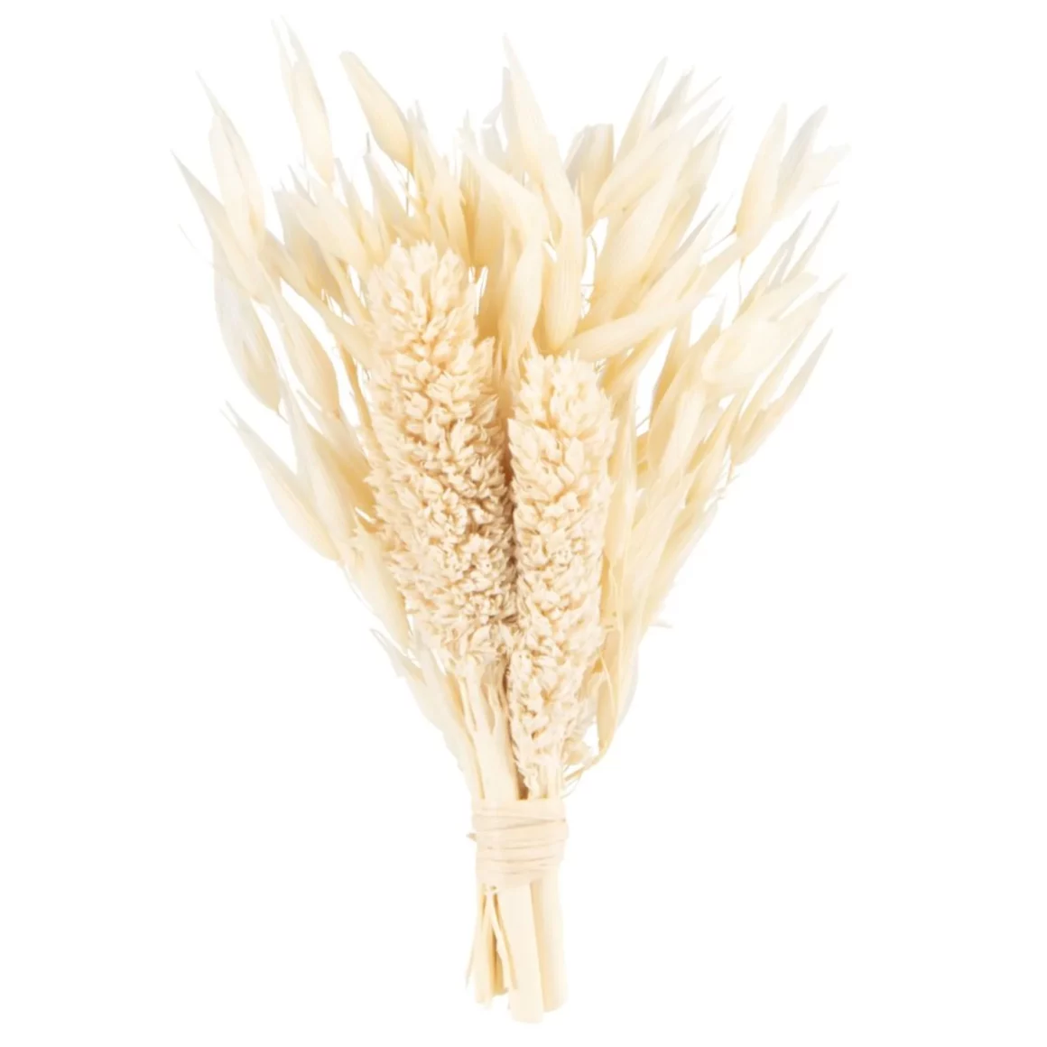 Petit bouquet fleurs séchées design